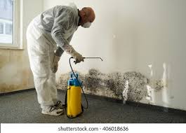 Best Residential Mold Inspection & Testing  in Chesterfield, MO